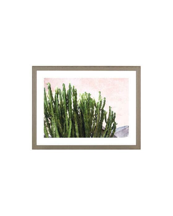 Cactus taulu OUTLET