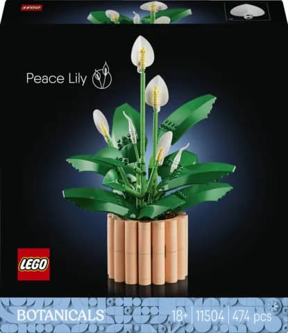 LEGO Botanicals Viirivehka 11504