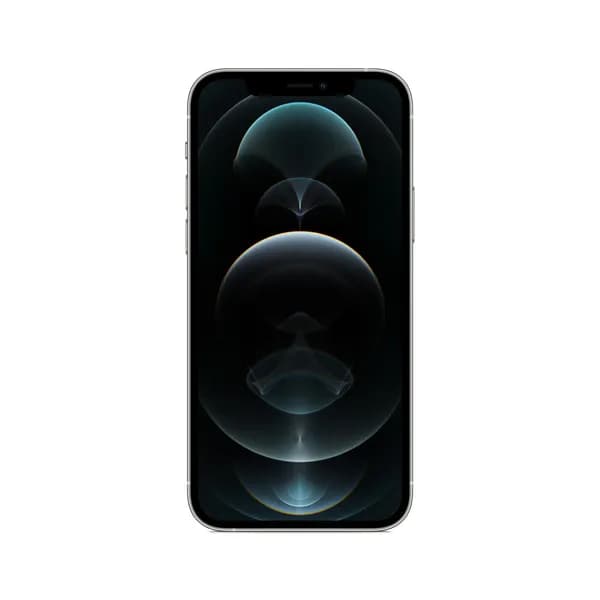 Kunnostettu iPhone 12 Pro 256 Gt, hopea (Tyydyttävä kunto)