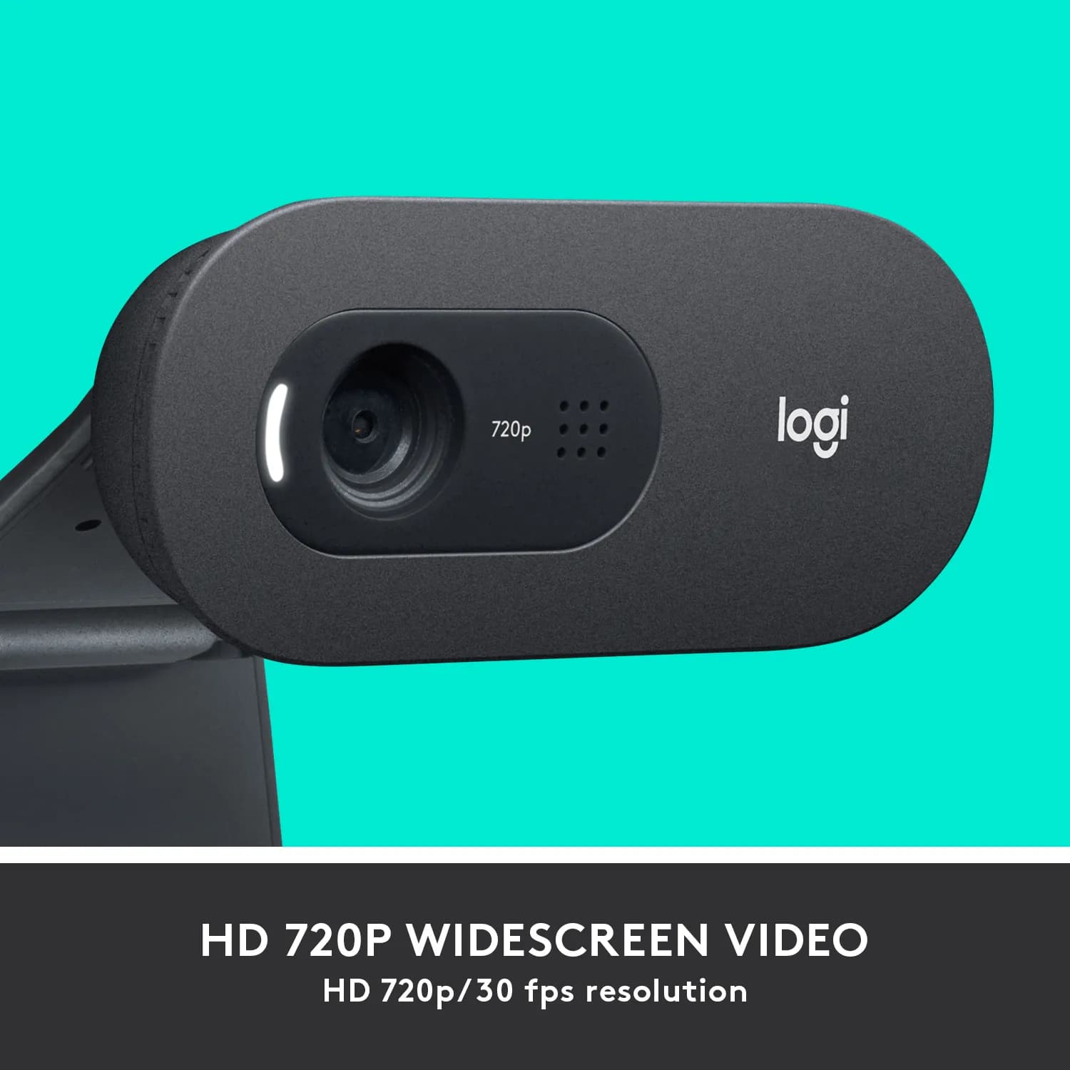 Logitech C505 HD 720p, automaattitarkennus -webkamera, grafiitti