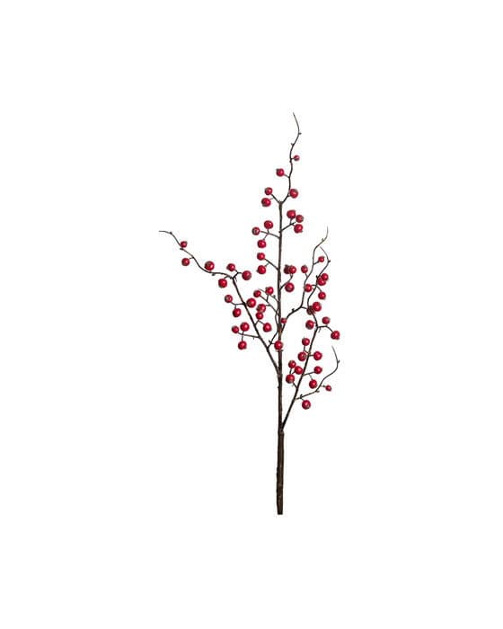 Elsa-marjanvarpu, punainen