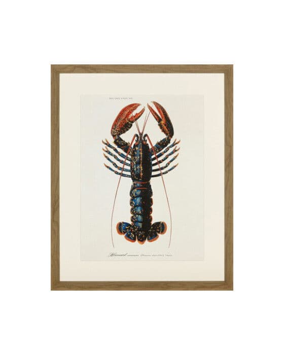 Lobster 2