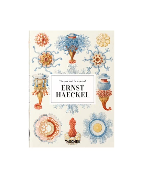 Ernst Haeckel - 40 Series