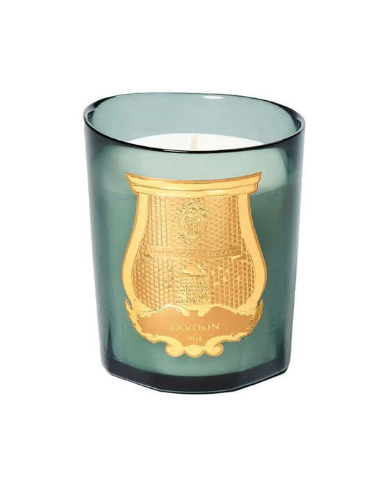 Trudon Figuerie tuoksukynttilä 800 g