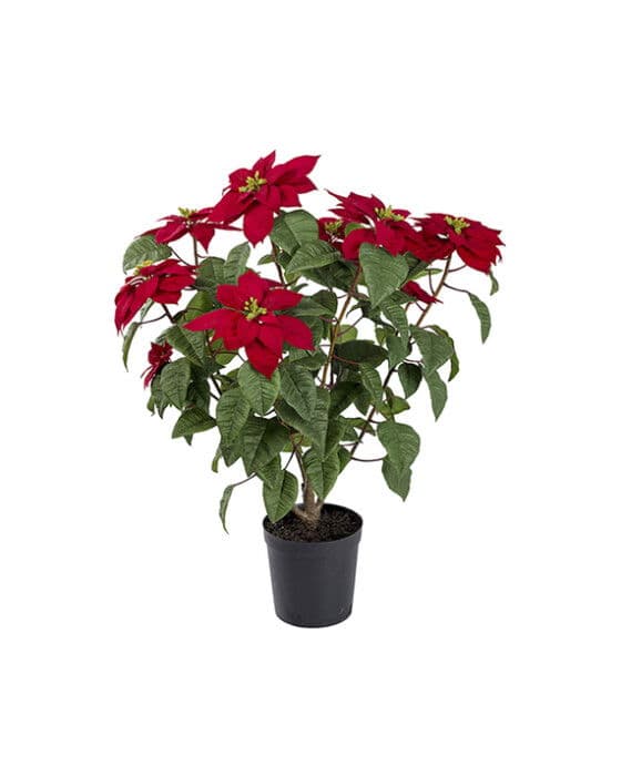 Joulutähti-tekokukka, punainen