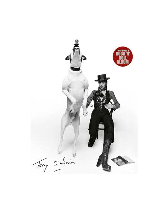 Terry O'Neill's Rock 'n' Roll Album