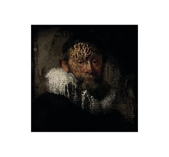 Rembrandt White