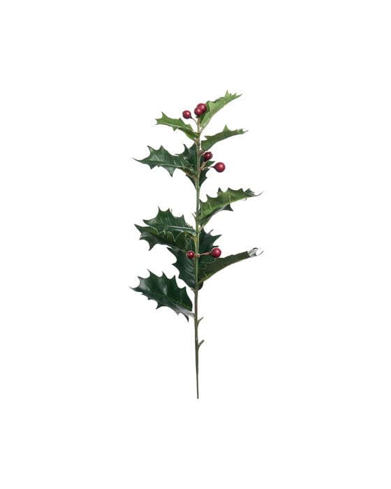 Holly-laakerileikkokukka
