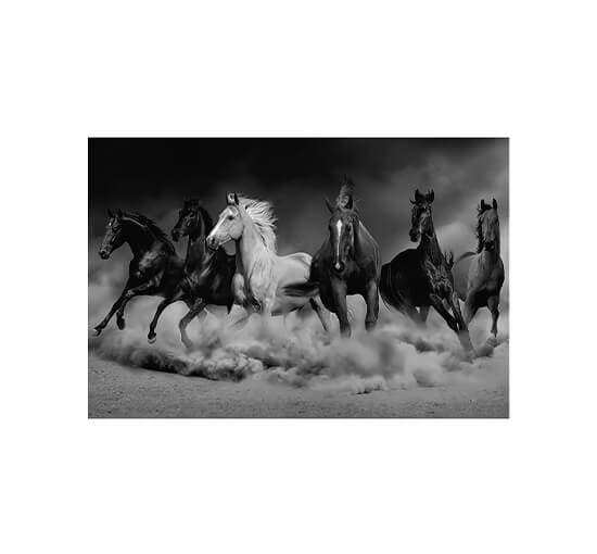 Royal Family of The Desert