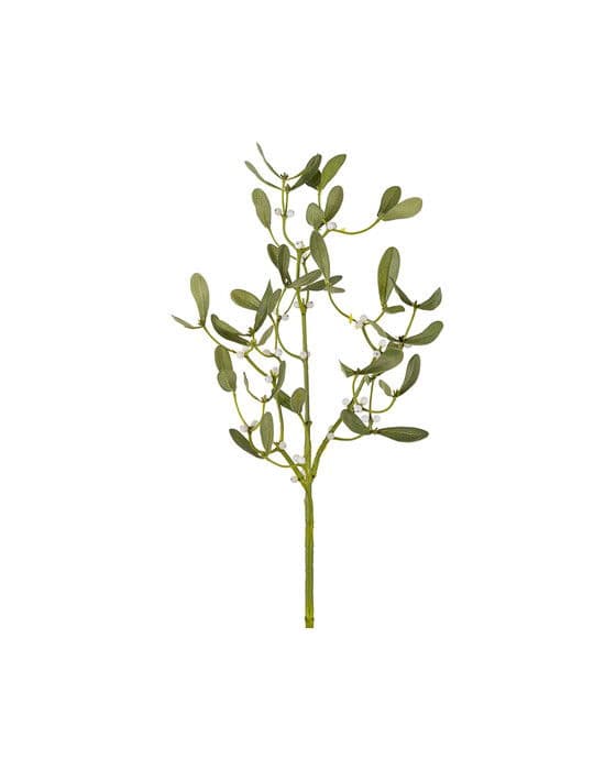 Mistel-leikkokukka, vihreä