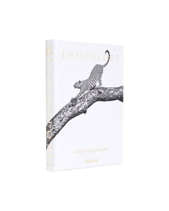 Londolozi, The Safari that Changed Everything