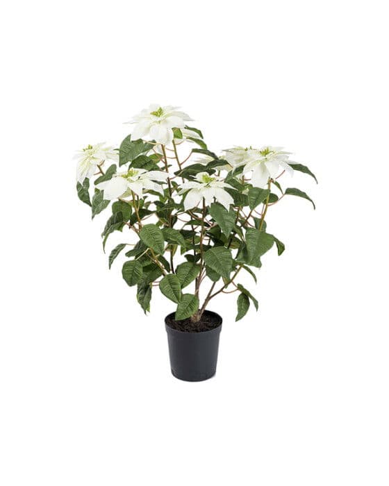 Joulutähti-tekokukka, valkoinen OUTLET