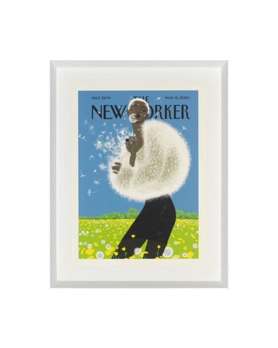 The New Yorker Tomer