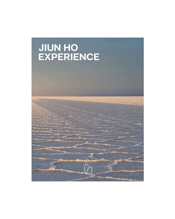 Jiun Ho: Experience