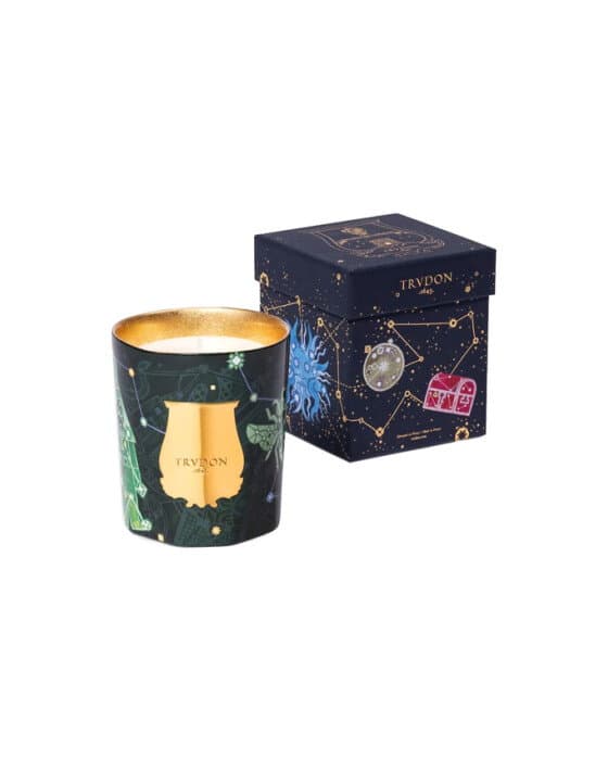 Trudon Fir tuoksukynttilä 270 g