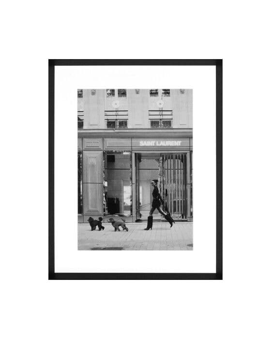 Who let the dogs out?