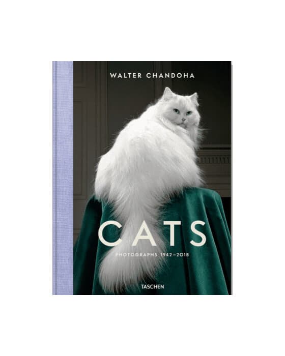 Cats - Photographs 1942–2018