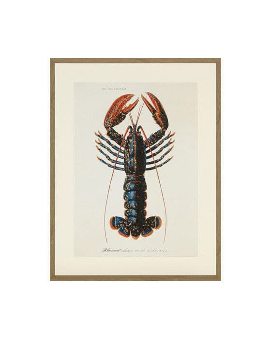 Lobster 1