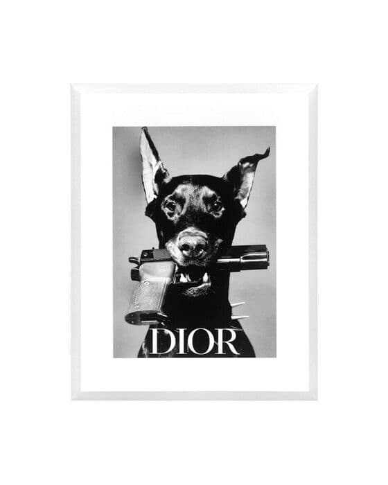 Dior Dog