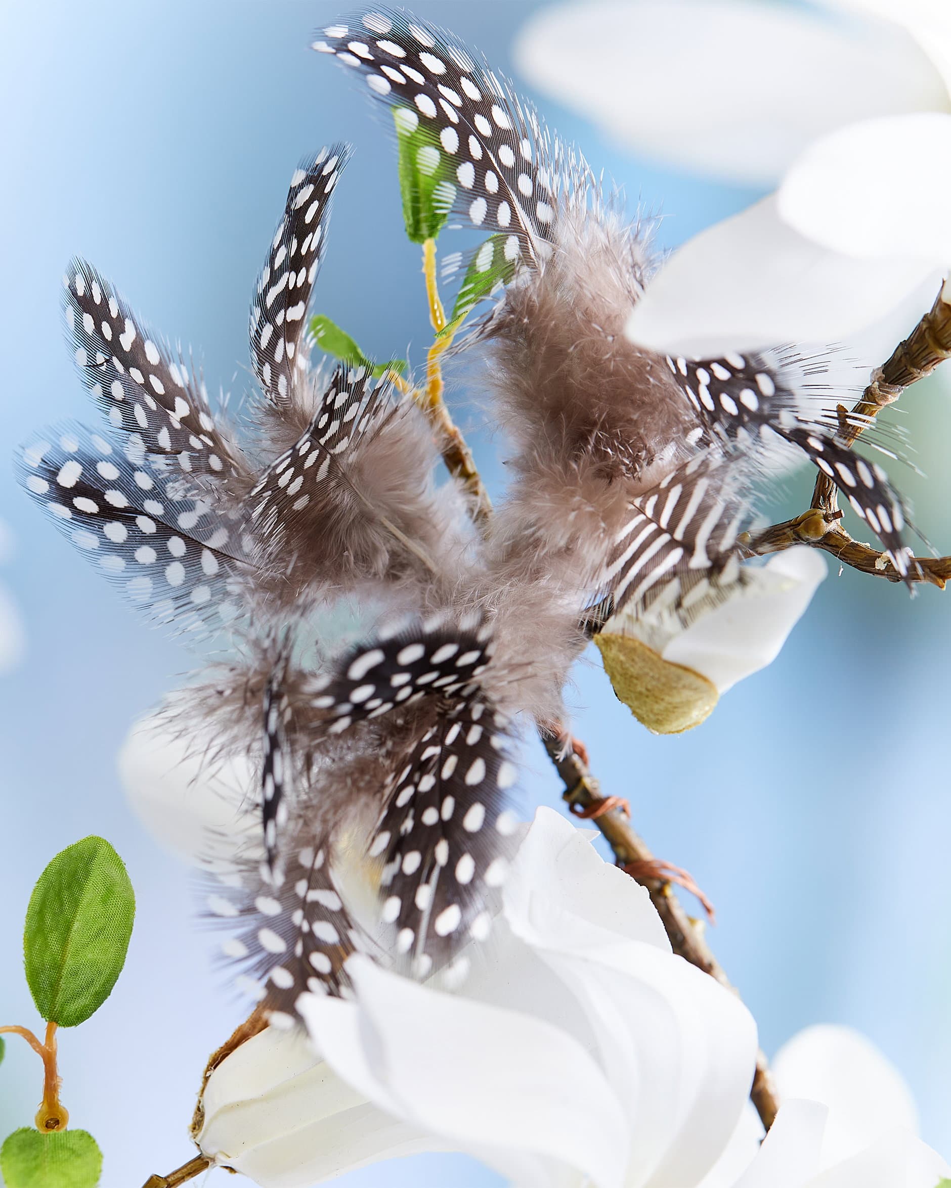 Pärlhöna-pääsiäishöyhenet