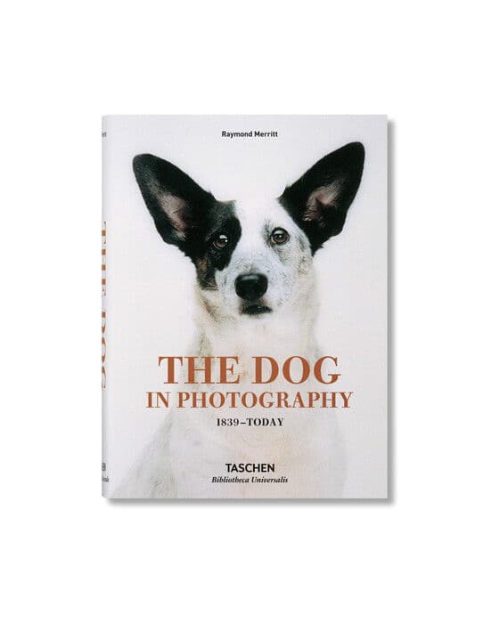 The Dog in Photography