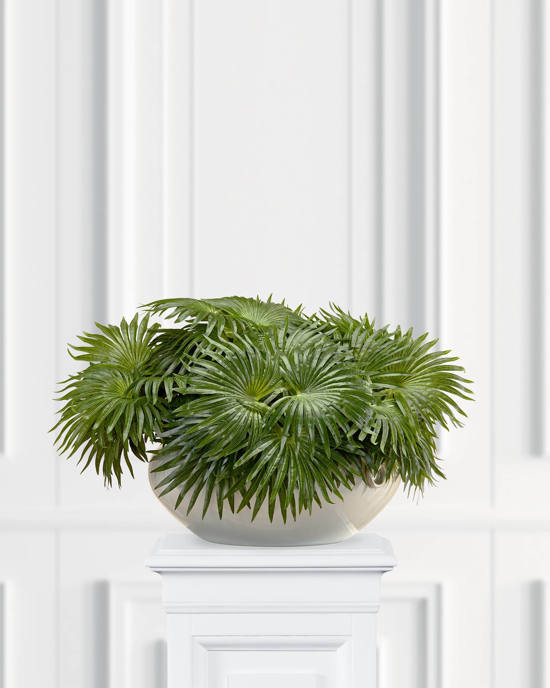 Palm Potted Plant Green