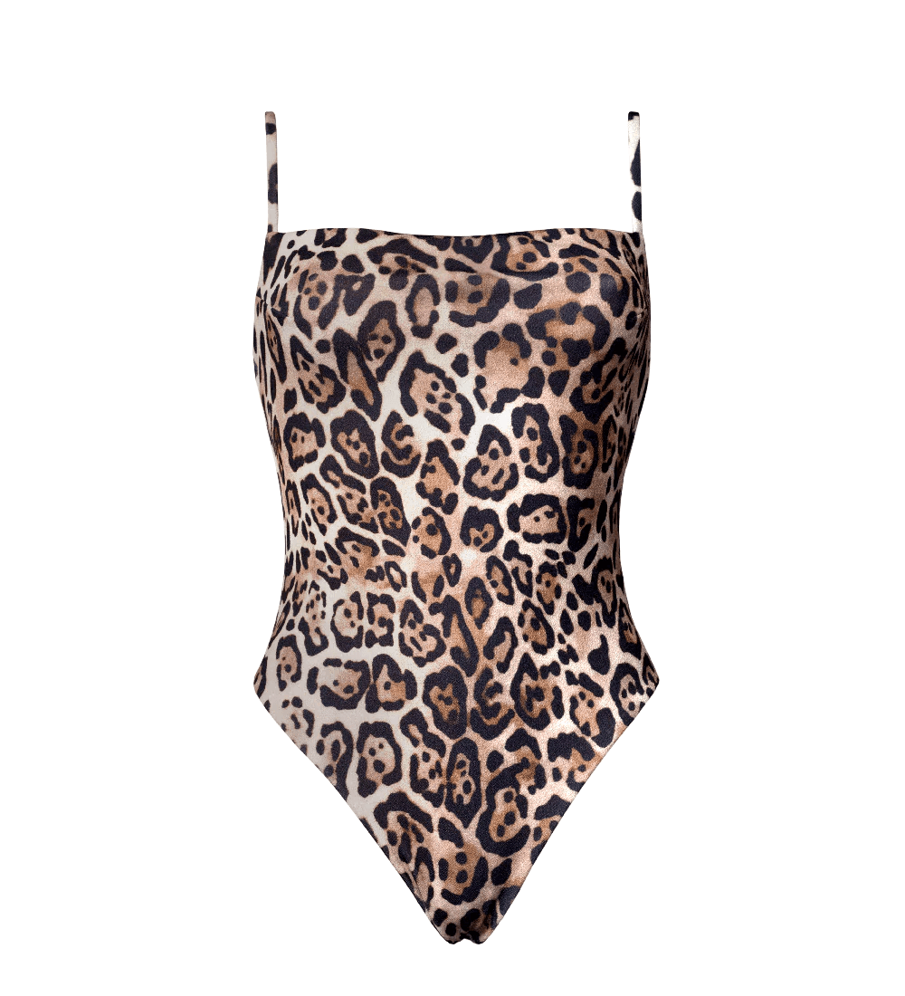 Alba Onepiece Swimsuit