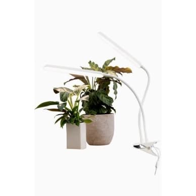 AIRAM Tulppaanikasvien valaistus 16W 780lm Himmeä kosketuksella 9610539 Vastaa: N/A