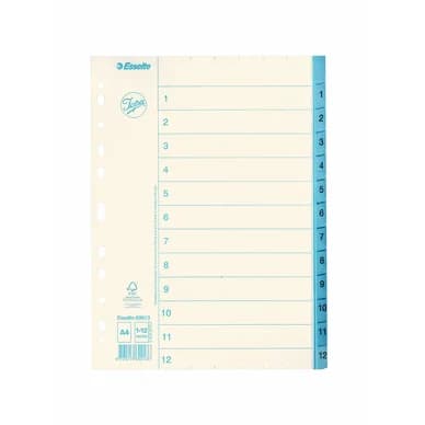 ESSELTE Pappersregister JOPA A4 1-12 vit/blå 5701216699136 Vastaa: N/A