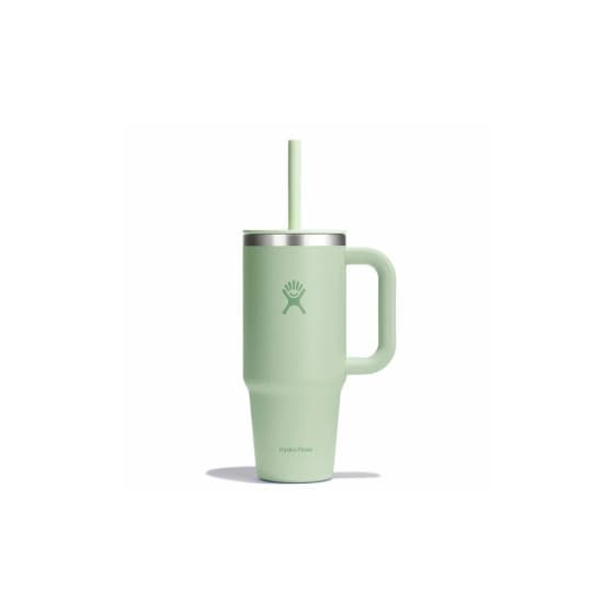 Hydro Flask All Around Aloe termosmuki, 700 ml