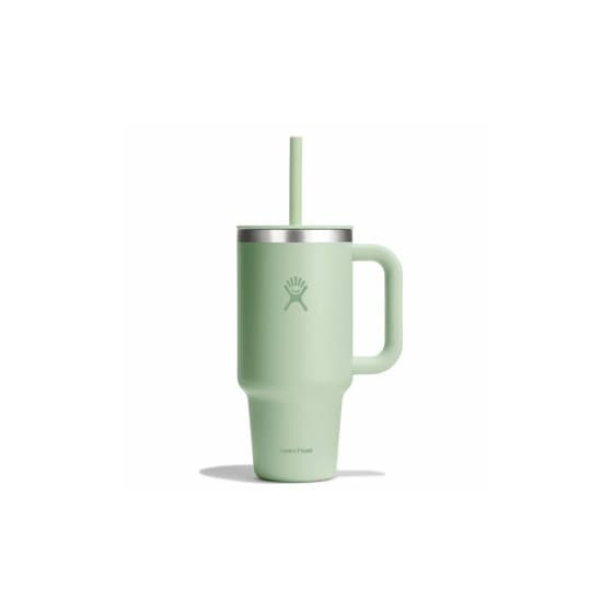 Hydro Flask All Around Aloe termosmuki, 946 ml