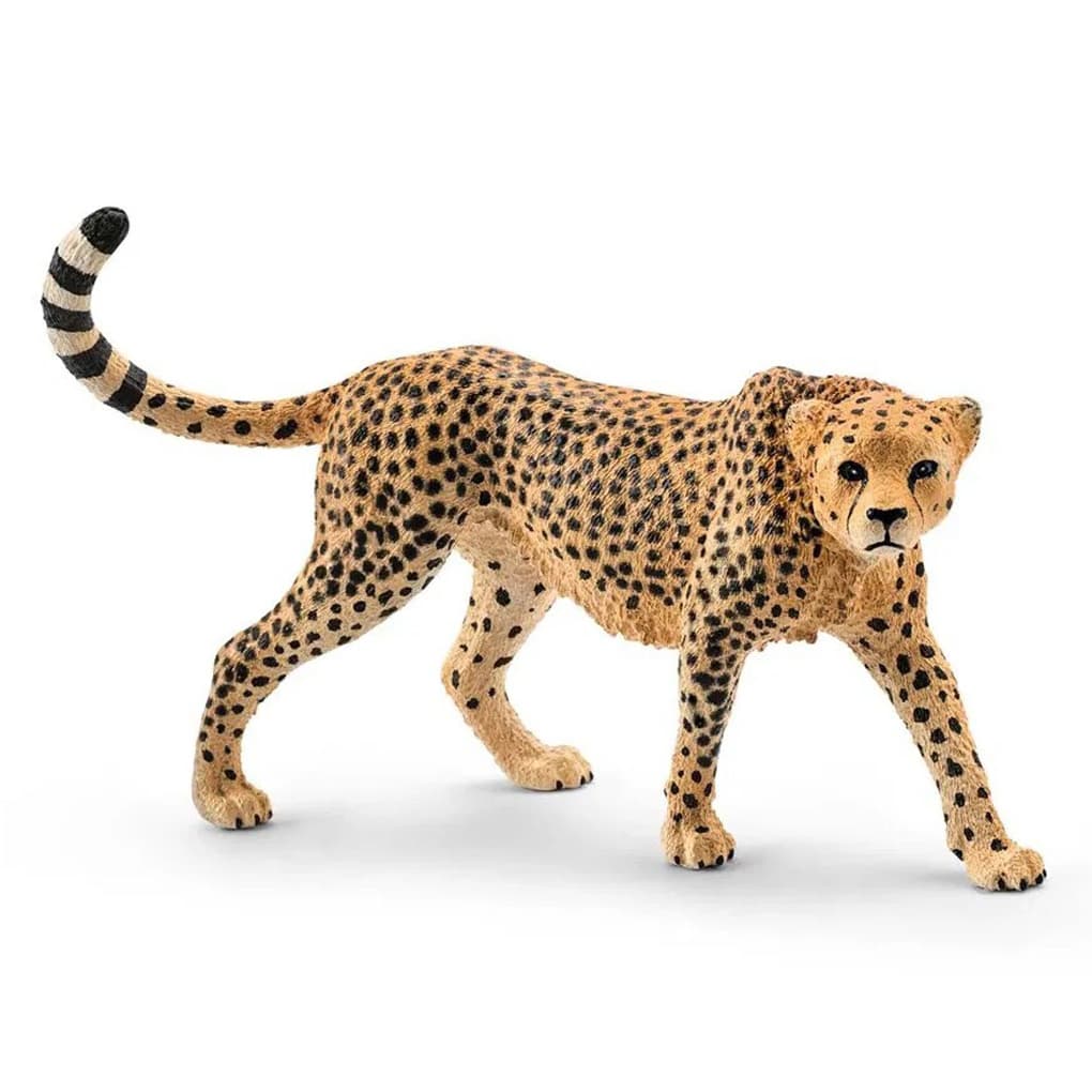 Schleich Gepardi naaras - Cheetah female