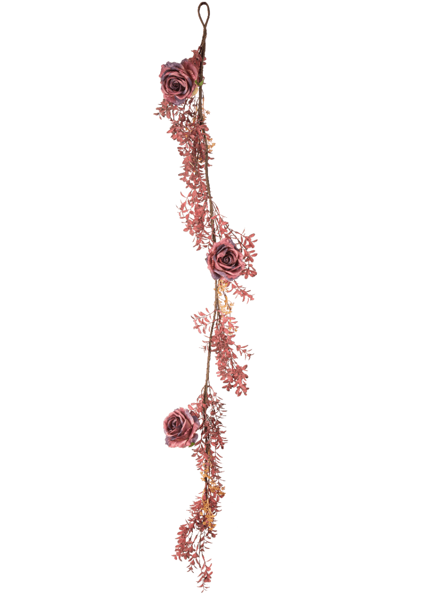 Lehtiköynnös Ruusuilla - Purppura, 1,5m