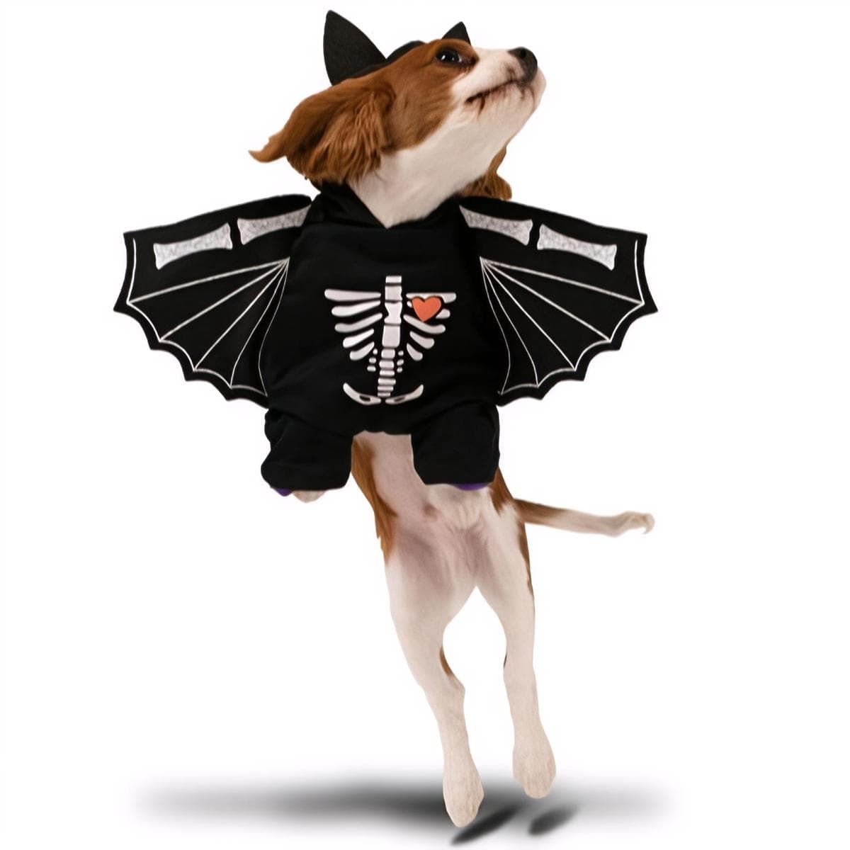 Koiran puku - Luuskeleton-lepakko, 45x35 cm