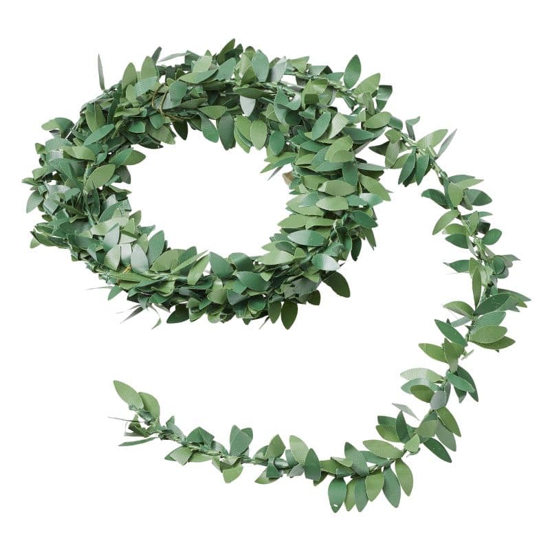 Miniatyyri - Lehtiköynnös, 2m