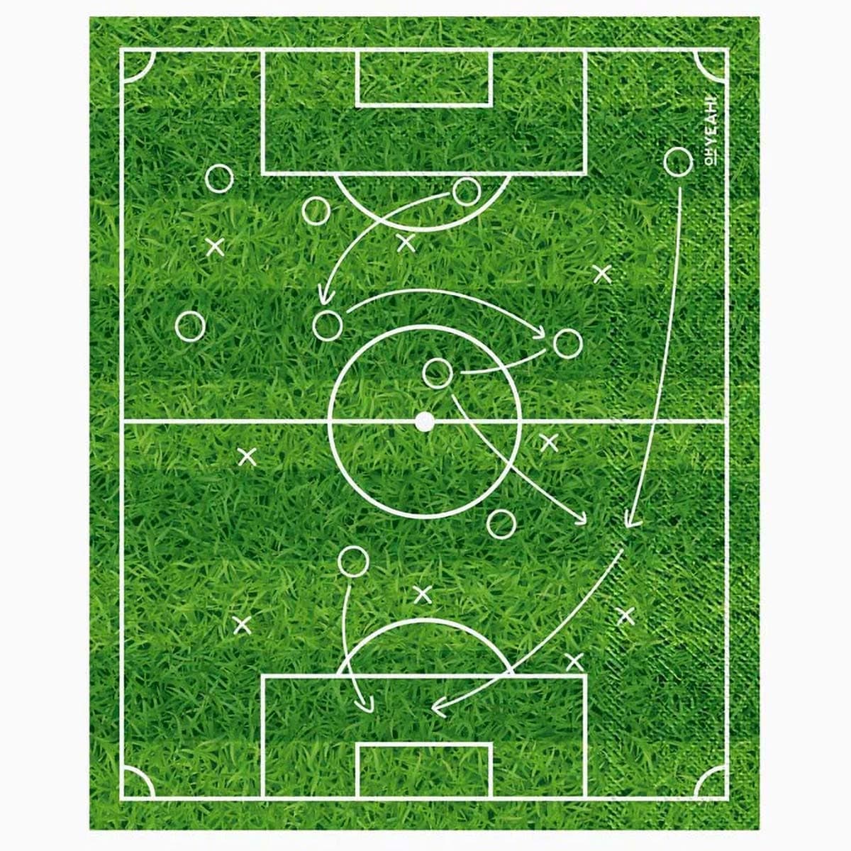 Lautasliinat - Jalkapallokenttä,16,5 x 20cm, 20kpl