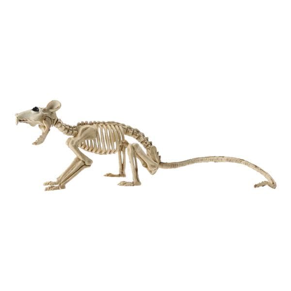 Halloween koriste - Rotan luuranko, 40cm