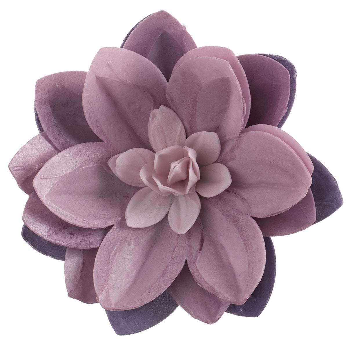 Syötävä vohvelikukka - Liila vesililja 14 cm