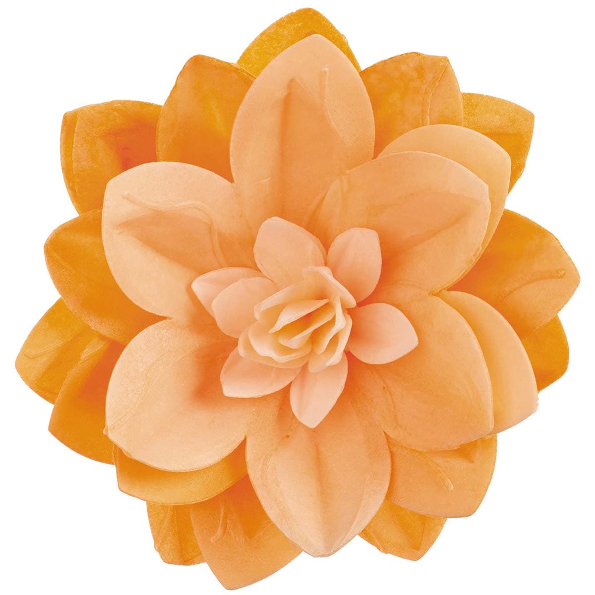 Syötävä vohvelikukka - Oranssi vesililja 14 cm