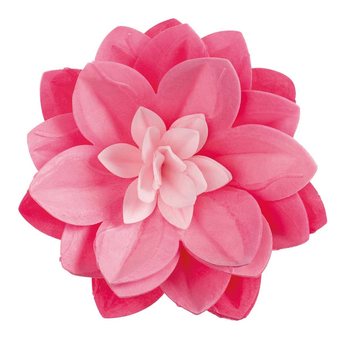 Syötävä vohvelikukka - Pinkki vesililja 14 cm