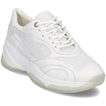 Kengät Geox  D Kirya B  37