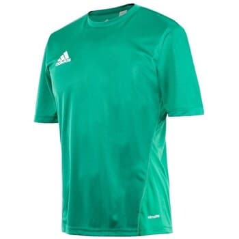 Lyhythihainen t-paita adidas  Core 15 Training  EU L