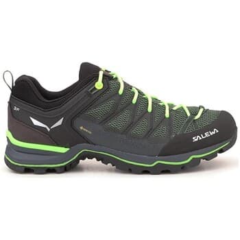 Kengät Salewa  MS Mtn Trainer Lite Gtx  43