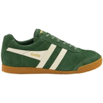 Kengät Gola  Harrier Suede  41