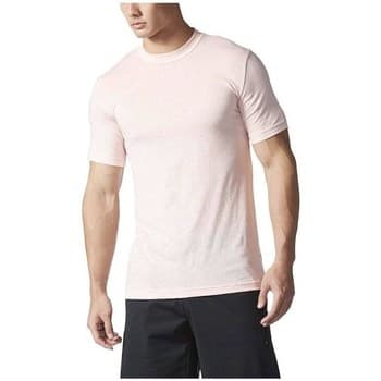 Lyhythihainen t-paita adidas  Basic Tee  EU XXL