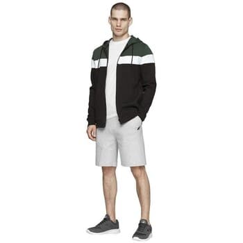 Shortsit & Bermuda-shortsit 4F  SKMD013  EU XL