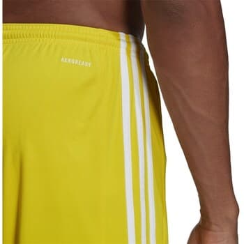 Shortsit & Bermuda-shortsit adidas  Squadra 21  EU L