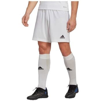 Shortsit & Bermuda-shortsit adidas  Entrada 22  EU XL