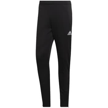 Jogging housut / Ulkoiluvaattee adidas  adidas Entrada 22 Training Pants  EU S