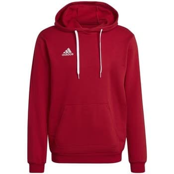 Hupparit adidas  Entrada 22  EU XL